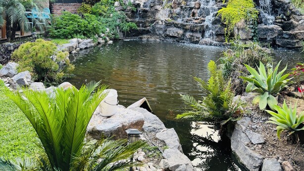 A tranquil garden with a pond, a small waterfall, and lush greenery. - Hotel Villa Pralaya (Jiutepec)