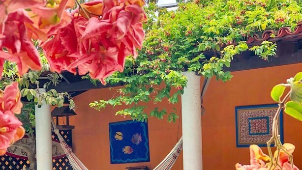 Courtyard - POUSADA DA ALDEIA (Fundao)