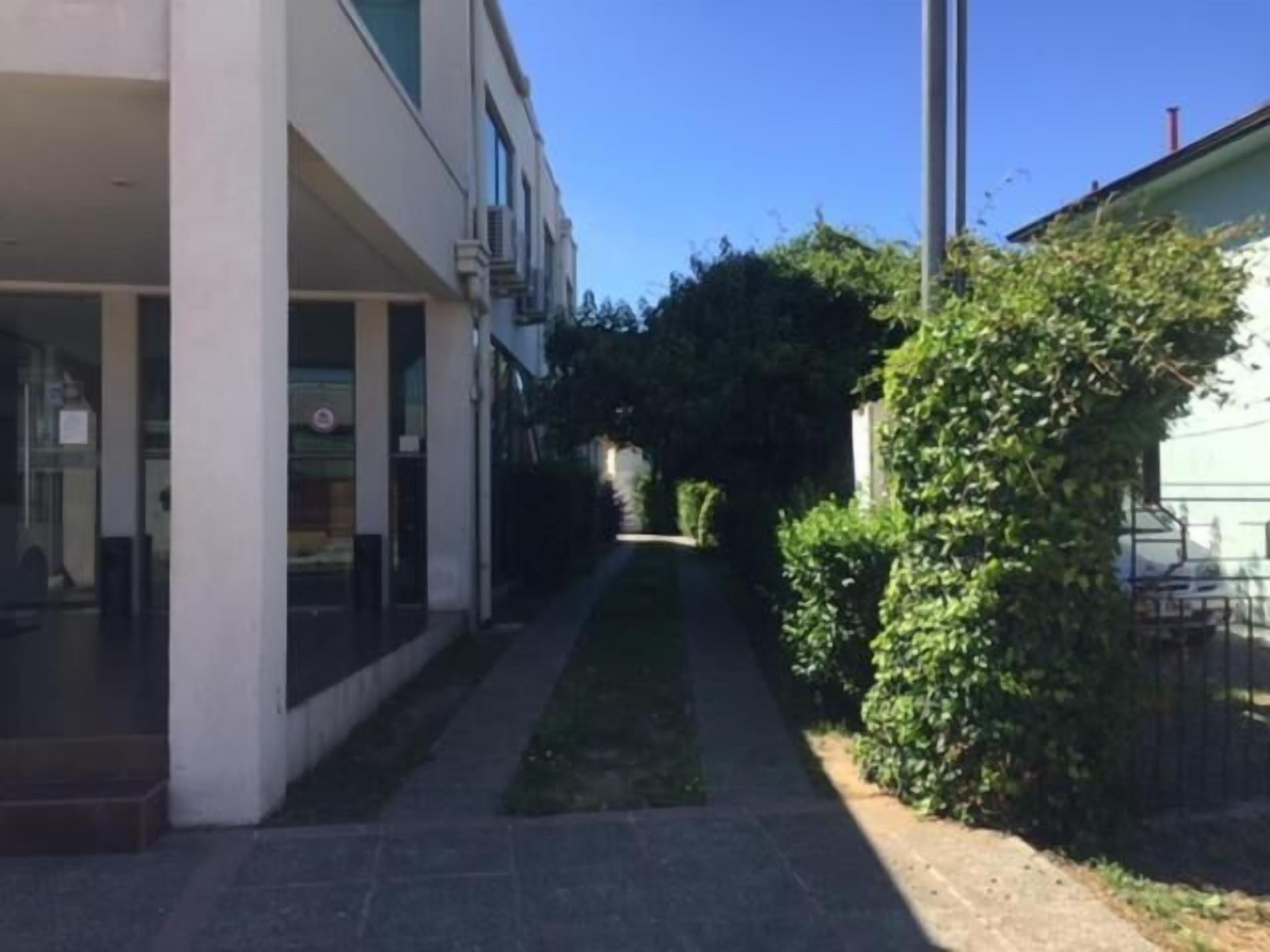 Un estrecho sendero bordeado por edificios con grandes ventanales y una pequeña zona verde.