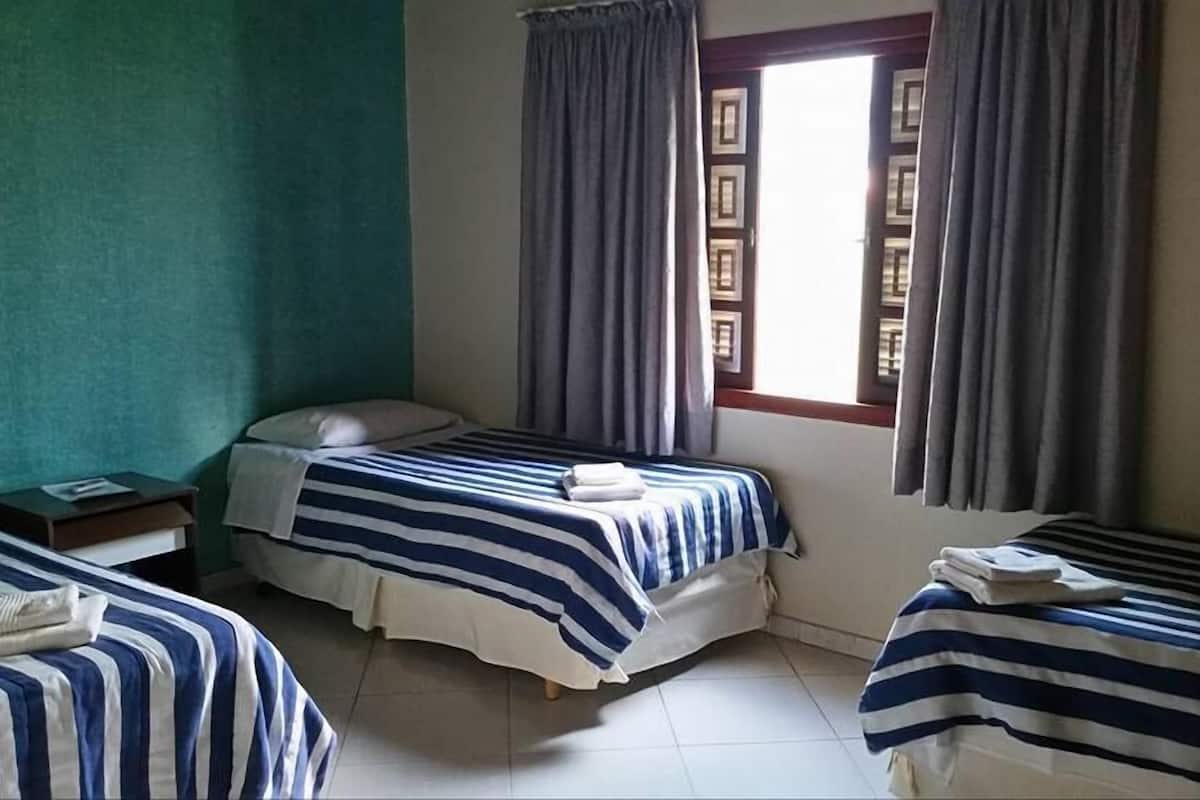 Executive kamer, 3 eenpersoonsbedden | Gratis wifi, beddengoed