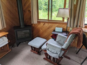 Fireplace, books