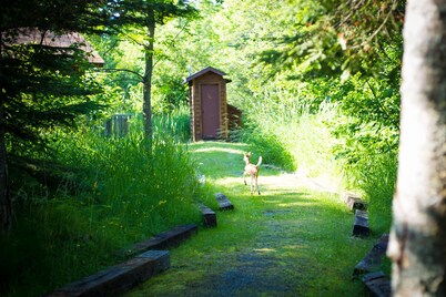 Rustic Personal Retreat Cabin, "Sunset"