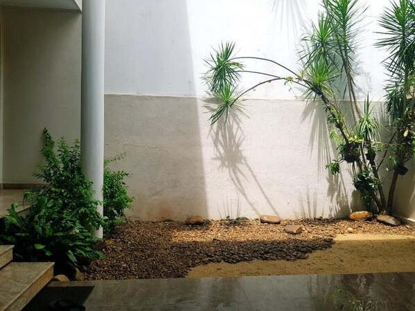 Jardin