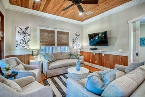 TV, DVD player, video library