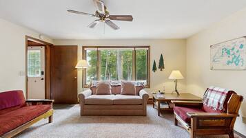 电视、壁炉、DVD 播放器、书