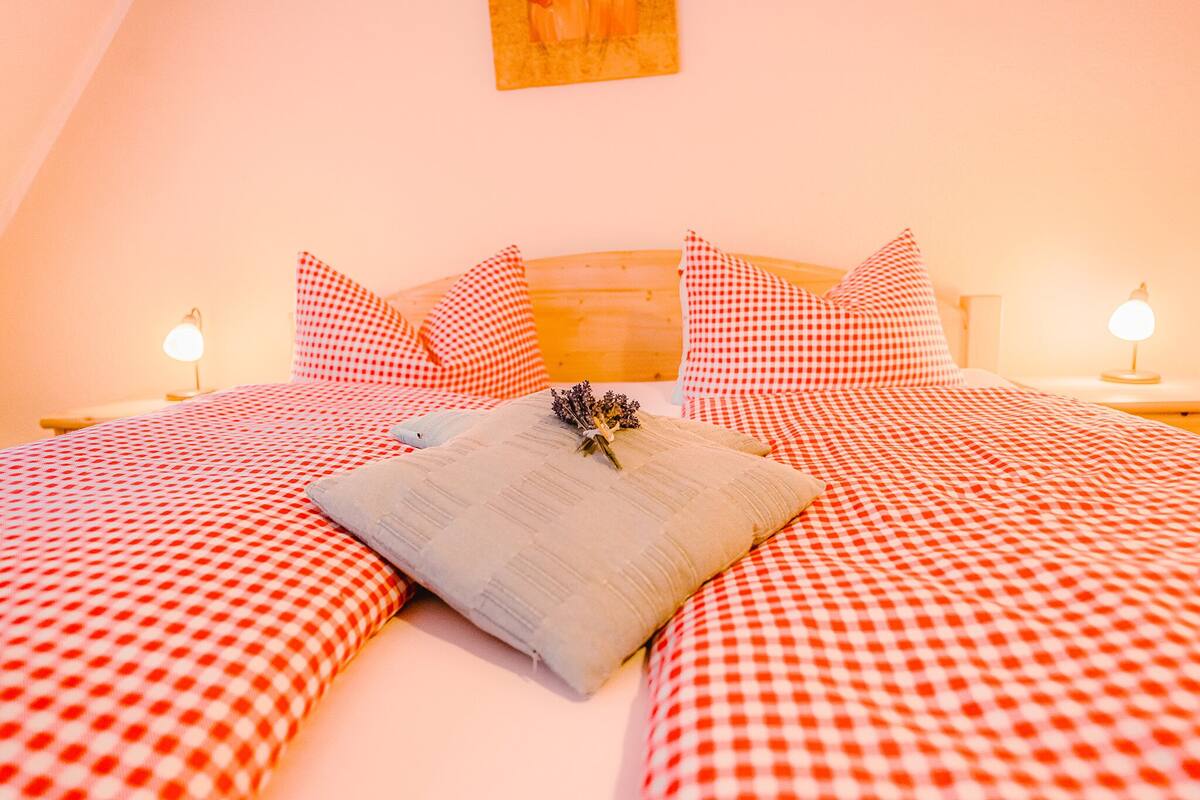 A bedroom with a checkered bedspread, two pillows, a single decorative pillow, and bedside lamps.