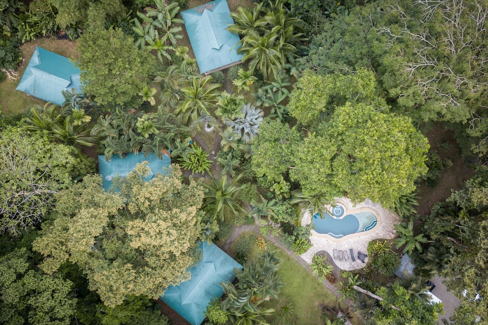 El Nido Jungle Lodge