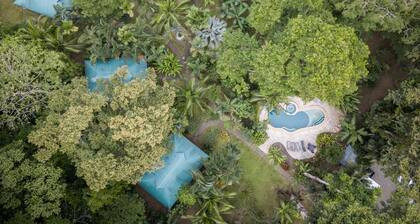 El Nido Jungle Lodge