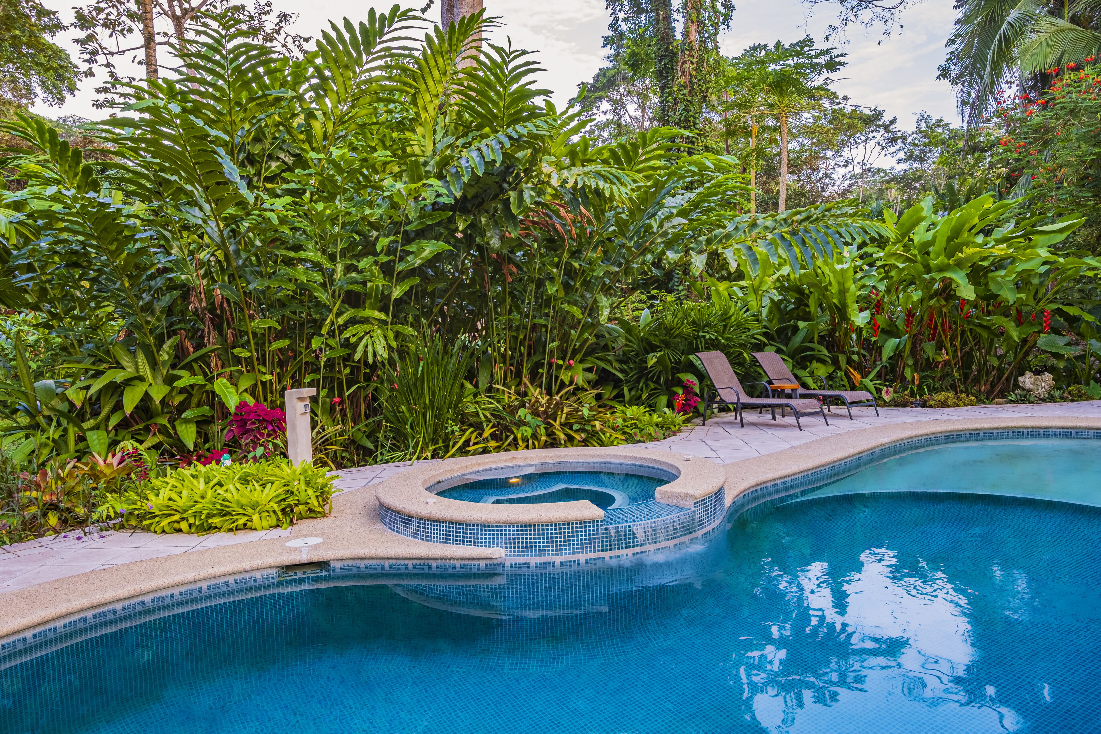 outdoor pool, pool loungers