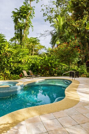 室外游泳池，提供日光浴躺椅