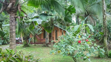 Jardín