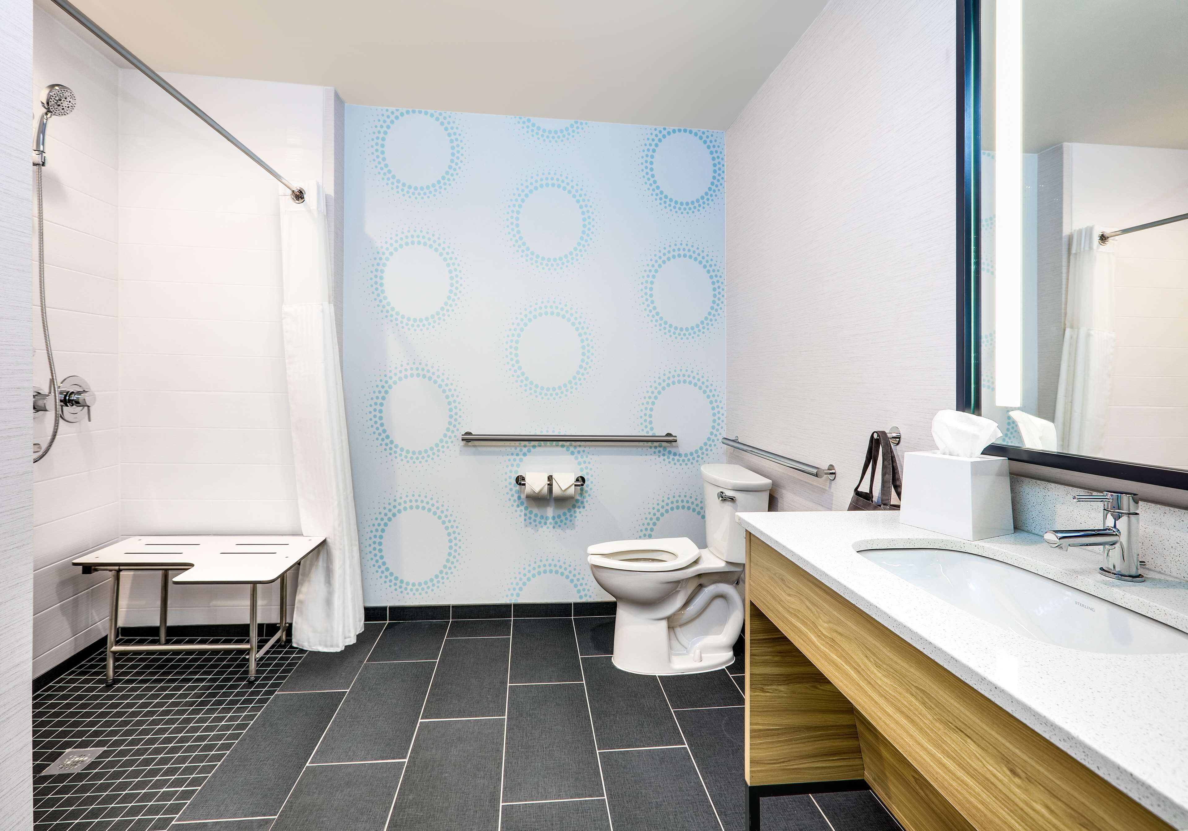 room, 2 queen beds, accessible (roll-in shower, hearing & mobility) | bathroom | free toiletries, hair dryer, towels, soap