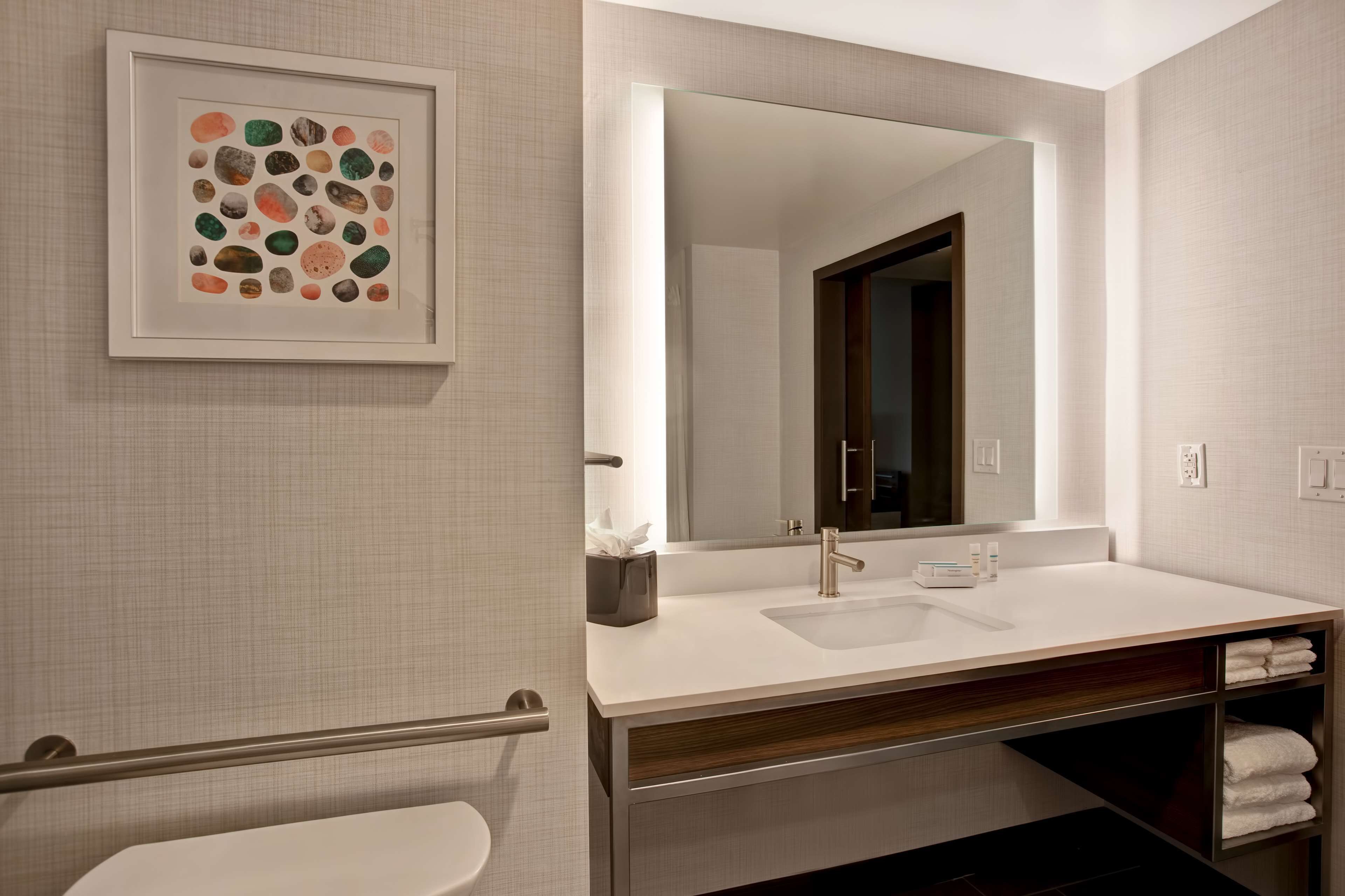 A modern bathroom with a white sink, a large mirror, and a framed artwork on the wall.