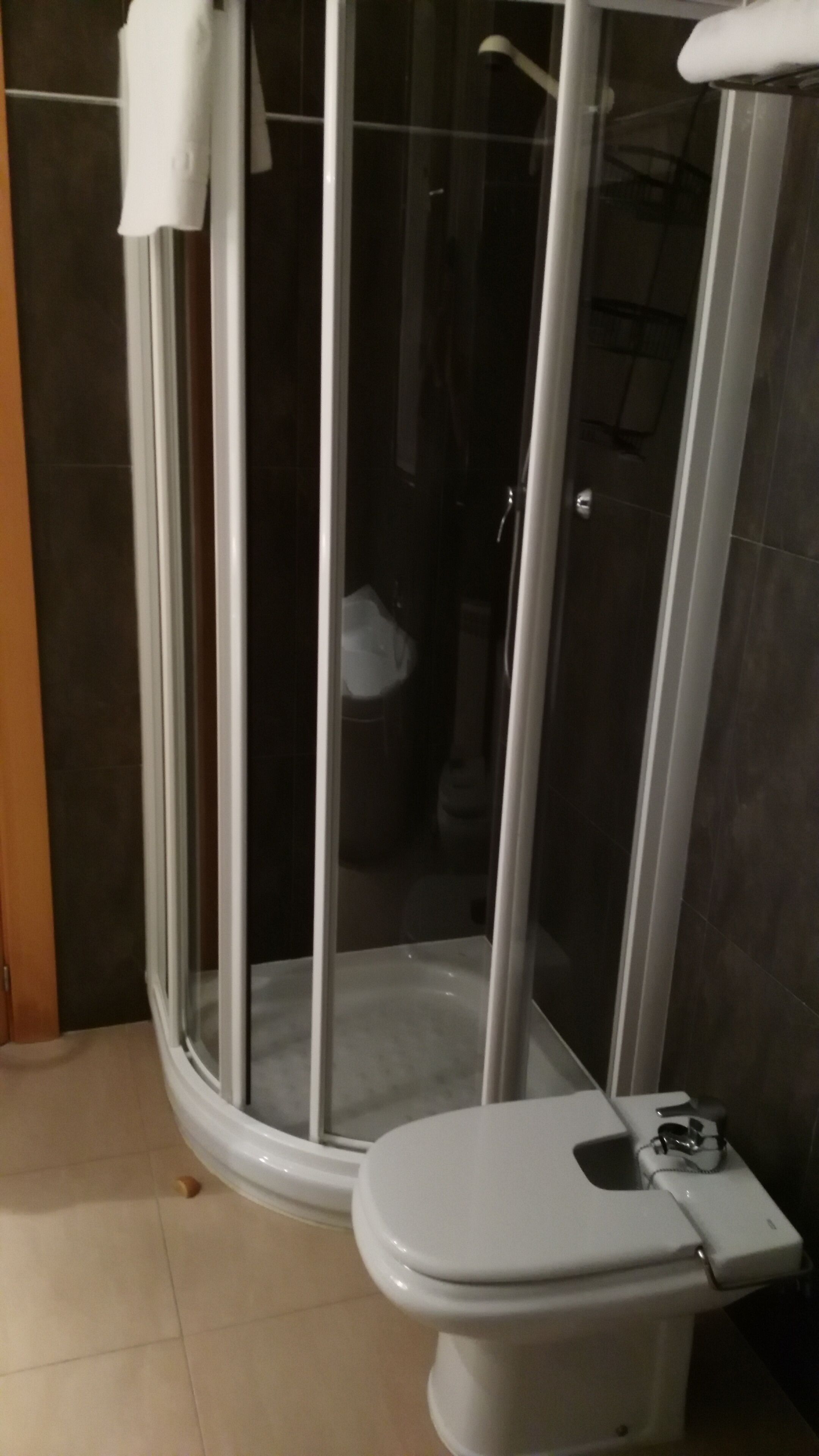 A bathroom with a glass-enclosed shower, a white toilet, and a towel hanging on a rack.