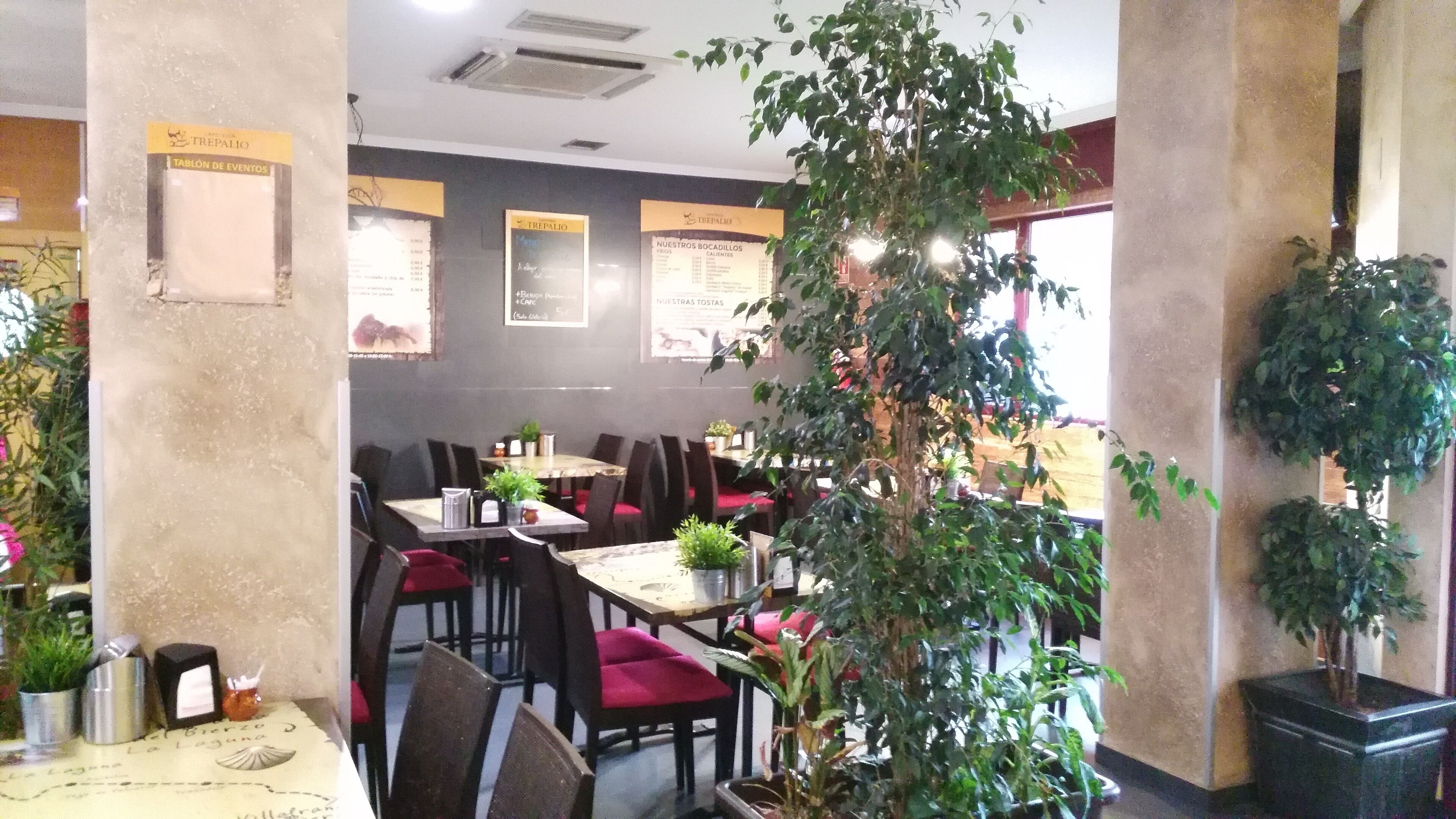 A restaurant interior with tables and chairs, potted plants, and menu boards on the walls.