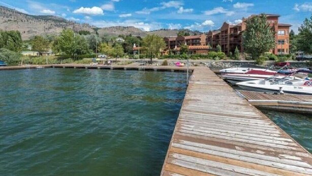 Una propiedad frente al agua con un muelle que se adentra en una superficie acuática tranquila, rodeada de árboles y una montaña al fondo.