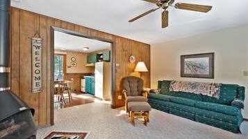 Télévision, cheminée, lecteur de DVD