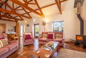 电视、壁炉、DVD 播放器