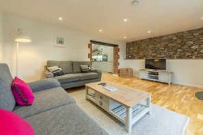 Télévision, cheminée, lecteur de DVD