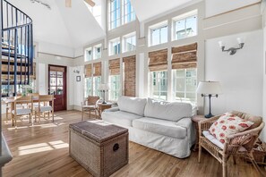 TV, DVD player, video library