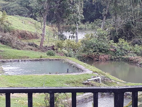 Agua Azul Lodging