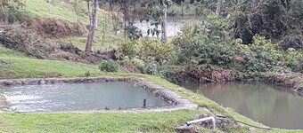 Agua Azul Lodging