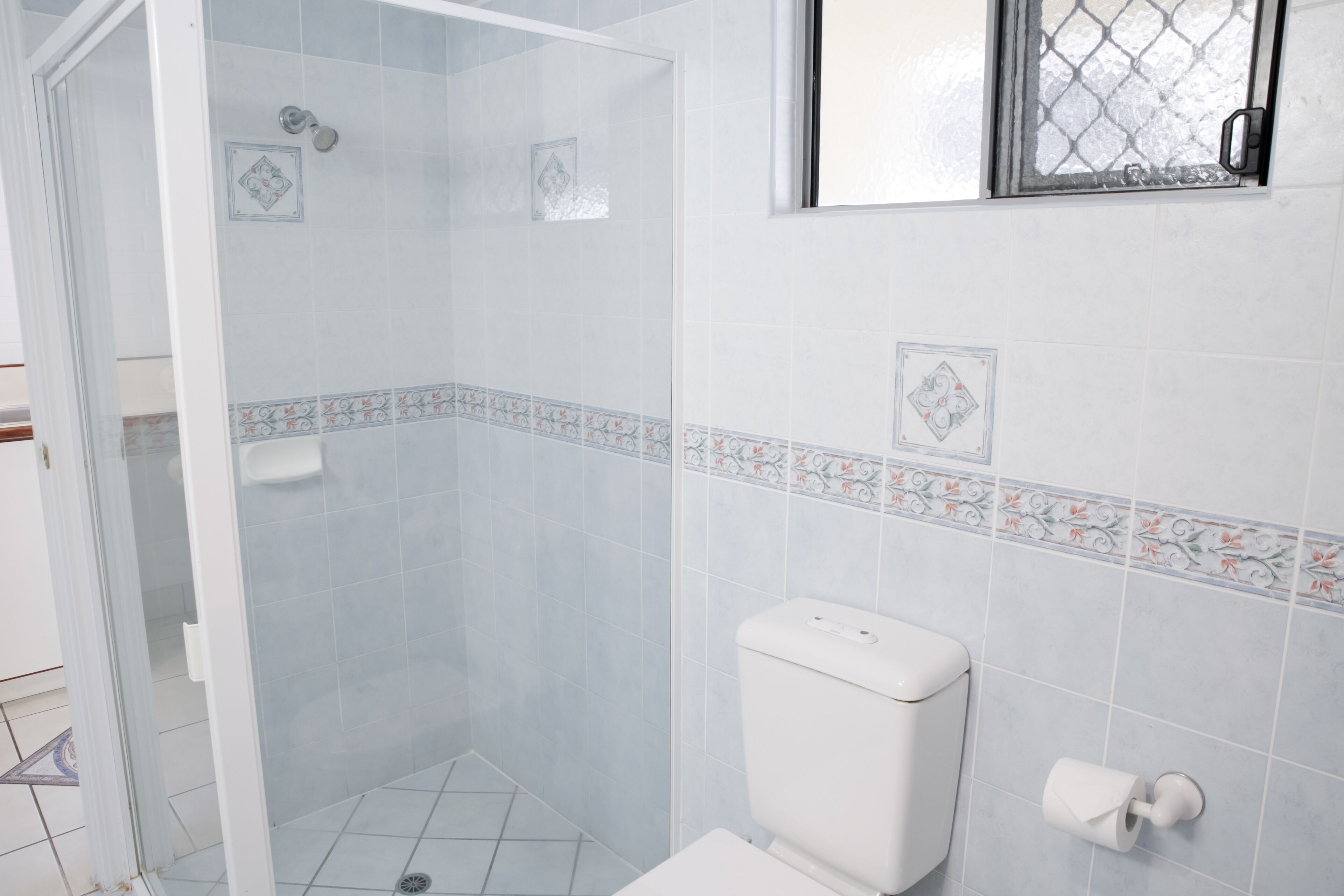 A bathroom with a shower, toilet, and a window.