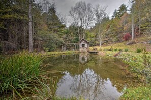 Property grounds - Forest Fantasy: Pet-Friendly Smoky Mtn Escape! (Brasstown)