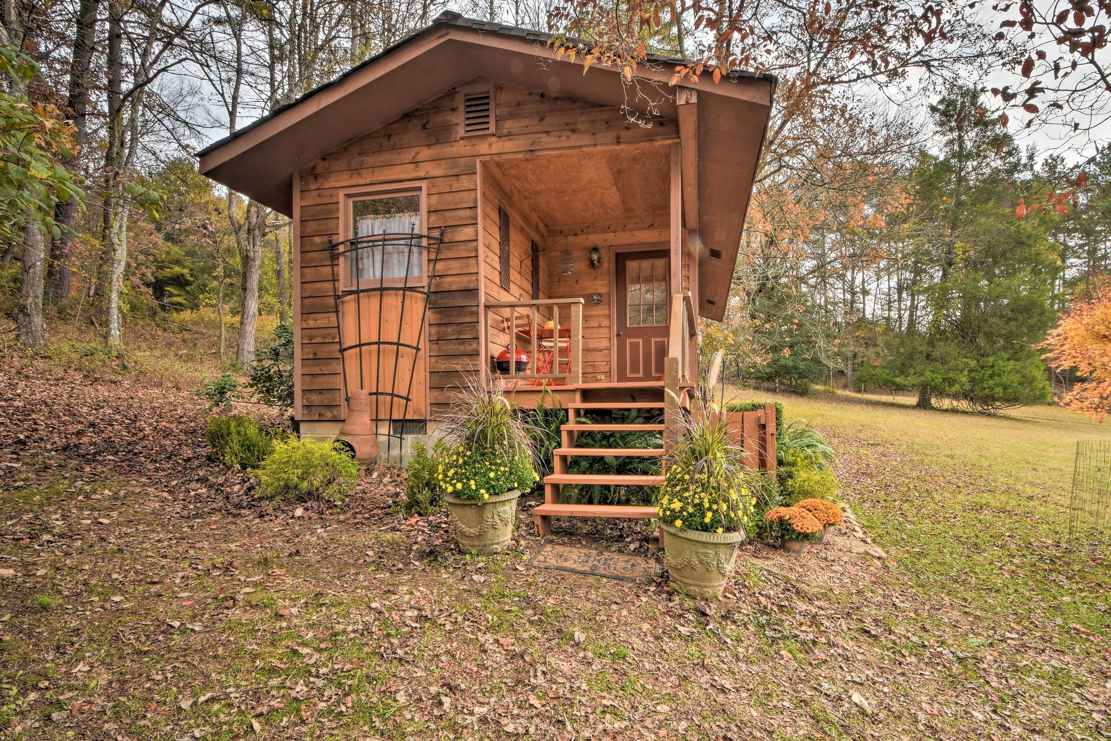 Forest Fantasy: Smoky Mtn Escape < 1 Mi to River!
