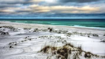 Sun loungers, beach towels