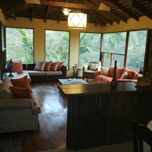 TV, lareira, DVD player, livros