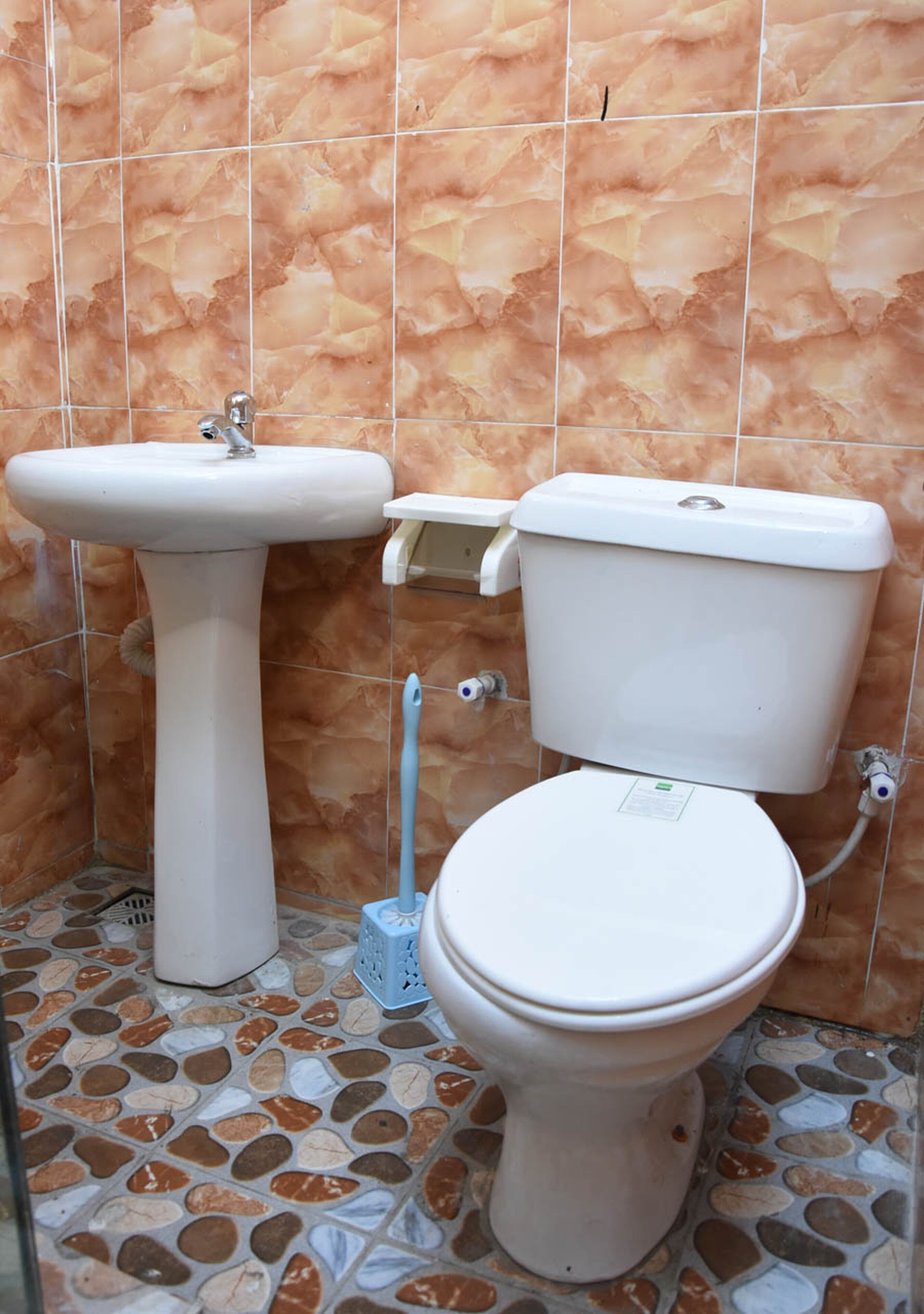 A bathroom with a pedestal sink, toilet, and a handheld plunger.