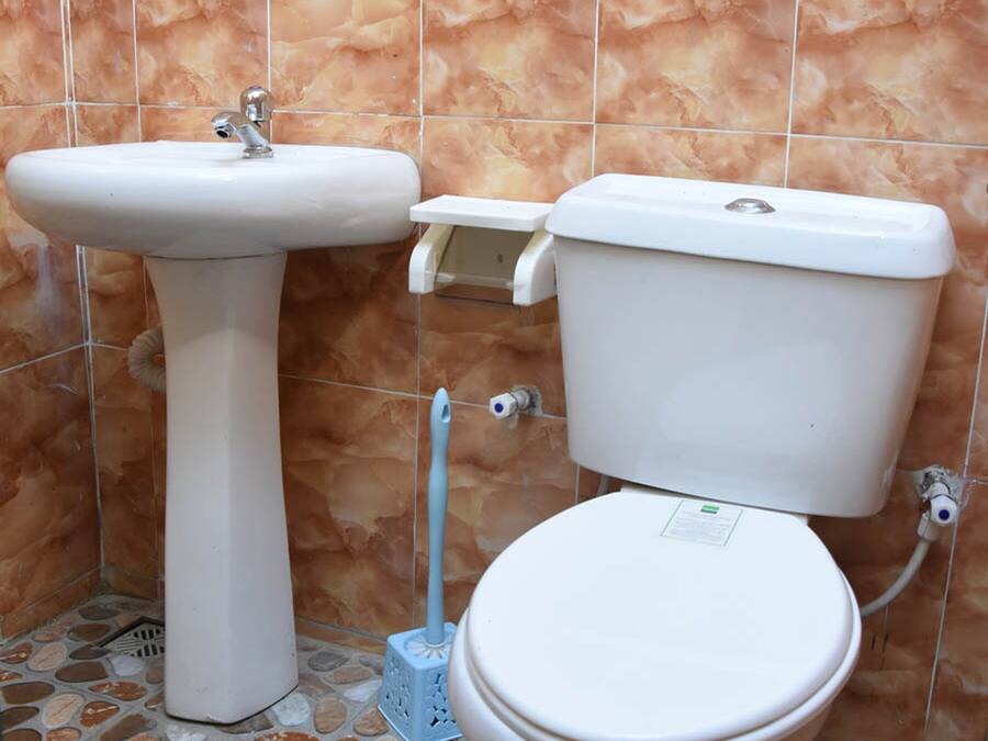 A bathroom with a pedestal sink, toilet, and a handheld plunger.