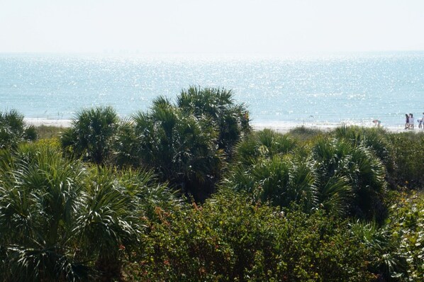 Beach nearby, sun-loungers, beach towels