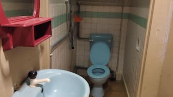 Basic Double Room | Bathroom | Shower, towels, soap, shampoo