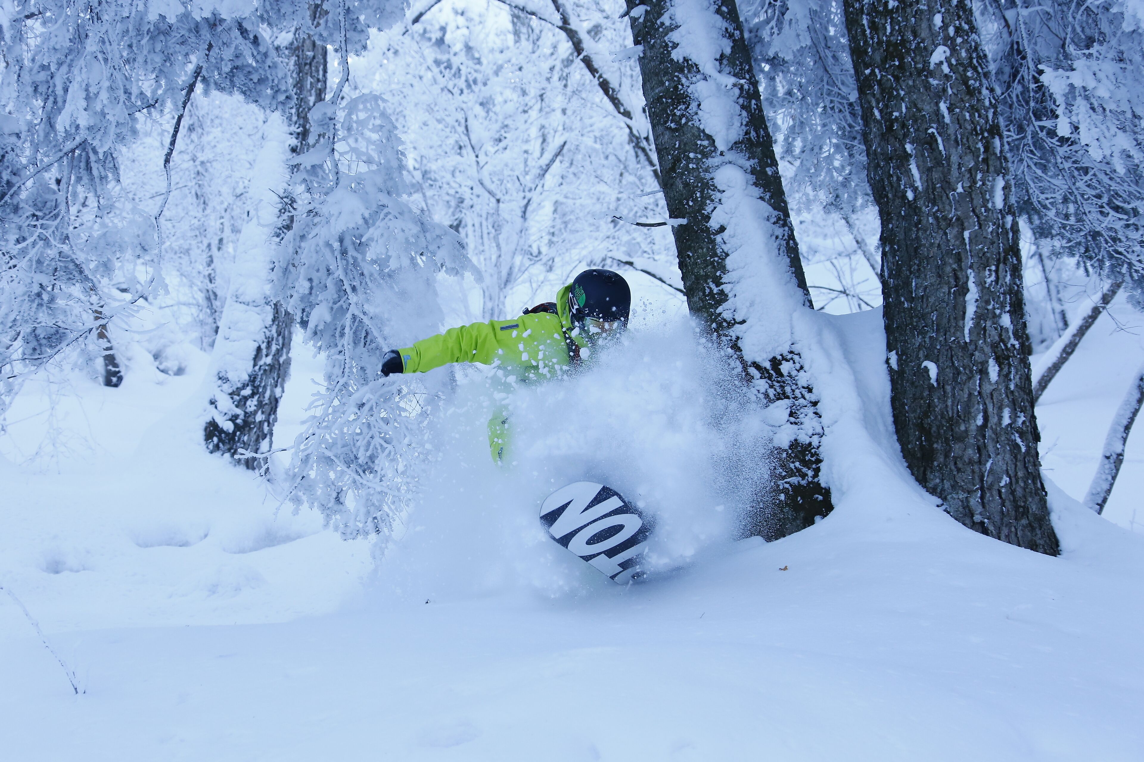 A snowboarder in a snowy forest.