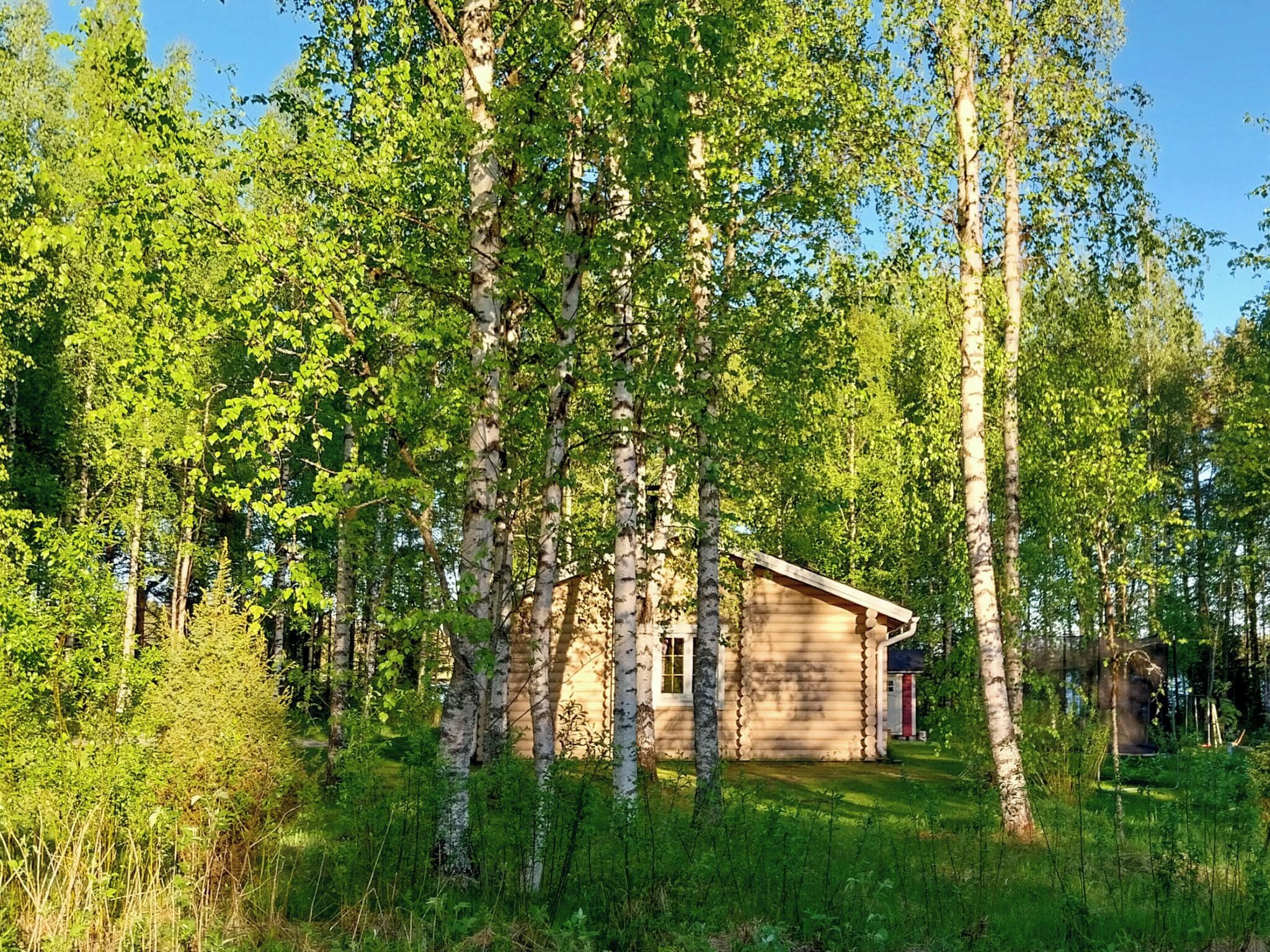 Eksteriør