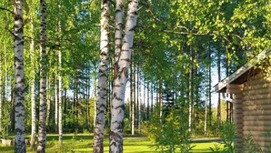A forest with birch trees and a log cabin. - Kesäniitty by Interhome (Ähtäri)