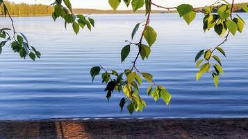 Näkymä järvelle, jossa on penkki ja puun oksa, joka kaartuu veden ylle.