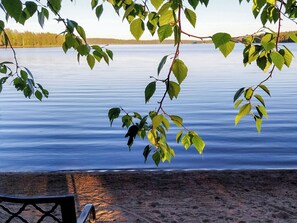 Une vue sur le lac, avec un banc et une branche d’arbre qui surplombe l’eau.