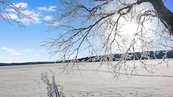 A tree with bare branches over a snow-covered landscape.