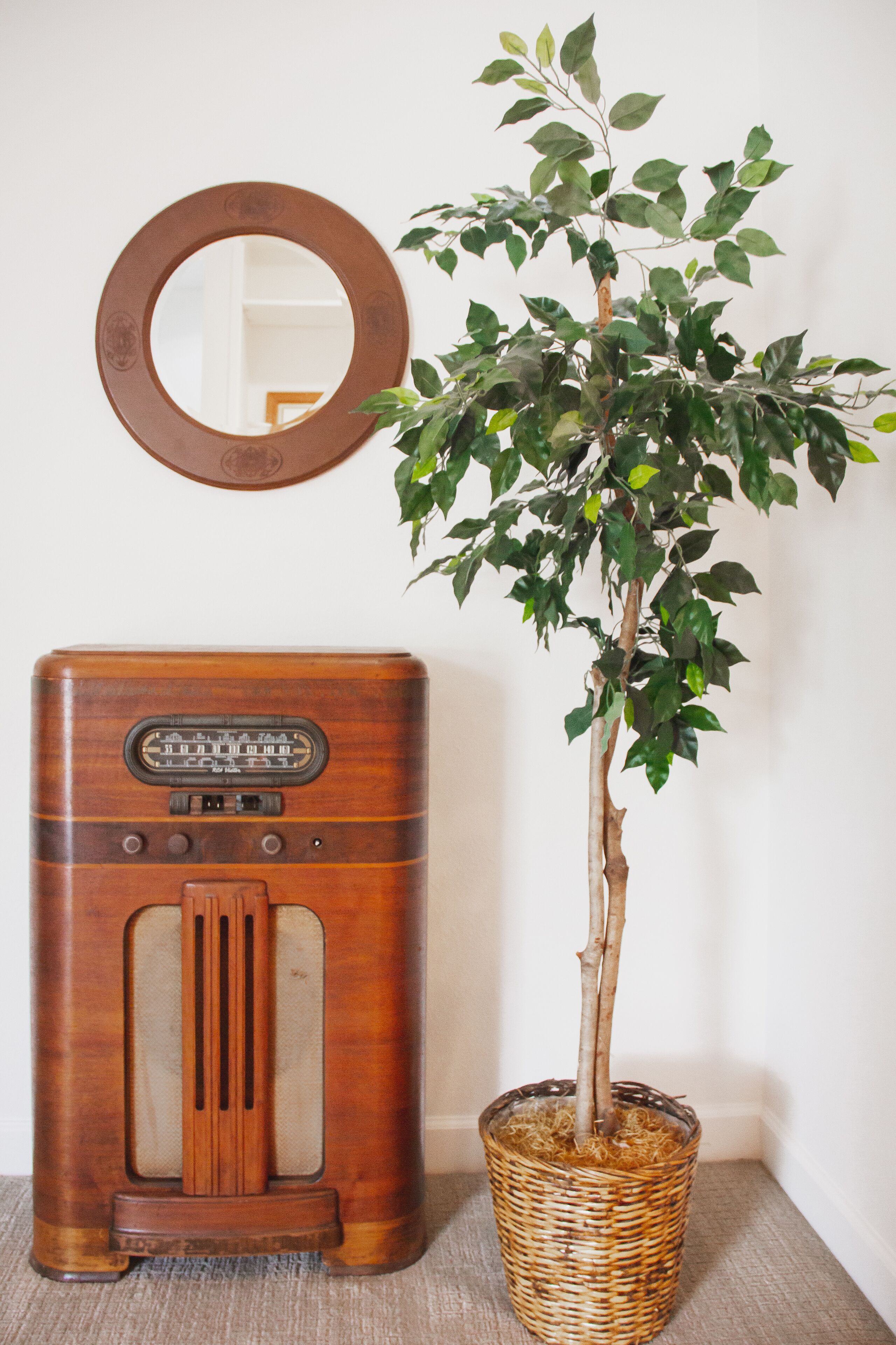Una radio antigua y una planta en maceta en una esquina.