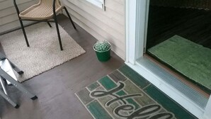 A doormat with a "Hello" design, a chair, a small potted plant, and a door with a green mat.