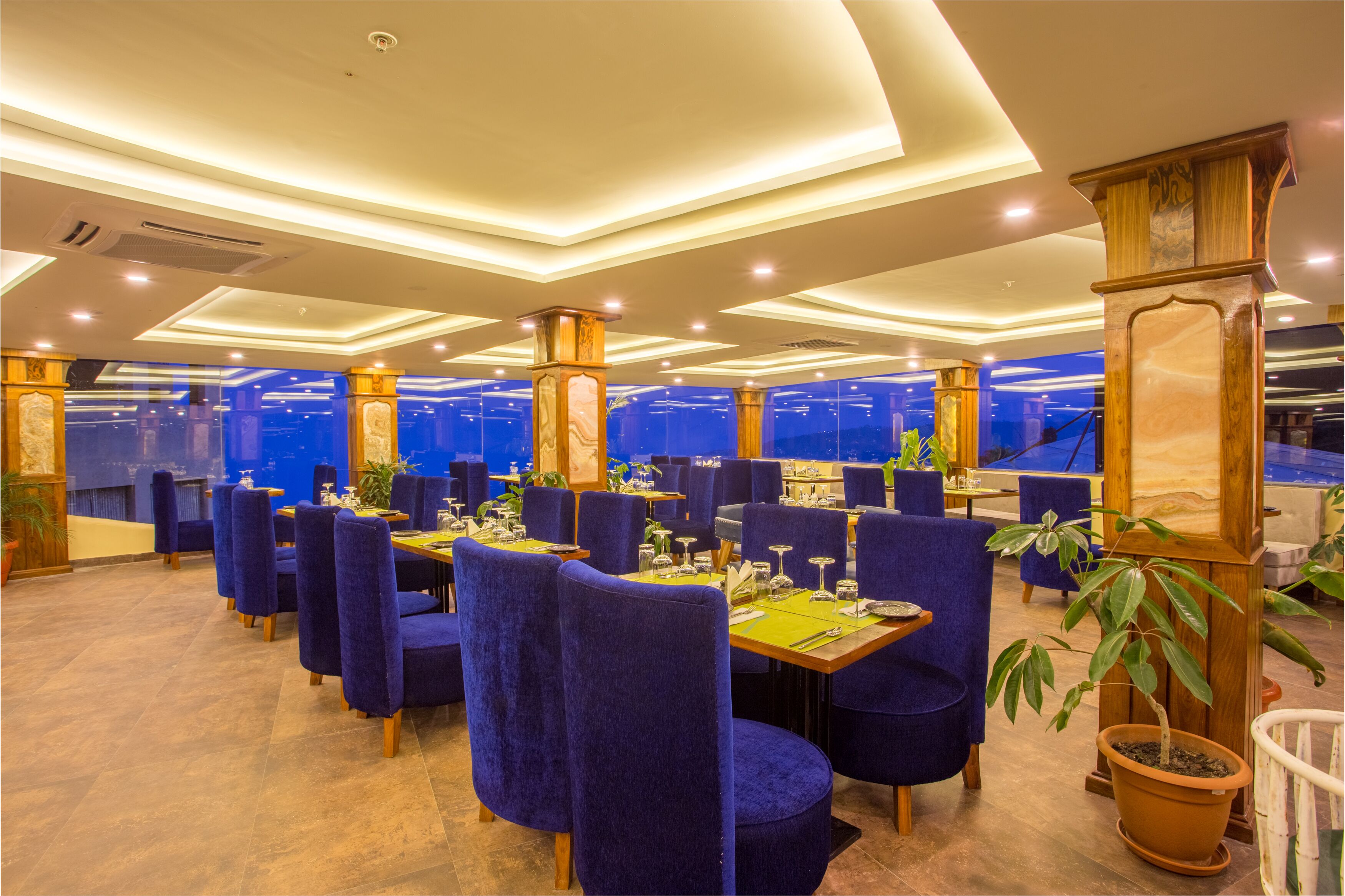 Um restaurante com cadeiras estofadas azuis, mesas de madeira e plantas em vasos.