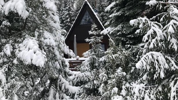 A cabin surrounded by snow-covered trees.