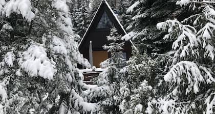 Hambühren Celle Fairytale forest house Drosselbart Roof-only house Sauna Forest edge Wallbox