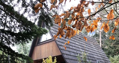 HambĂŒhren Celle MĂ€rchenwaldhaus Drosselbart Nurdachhaus Sauna Waldrand Wallbox