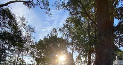 Imbil Country Cabin 4