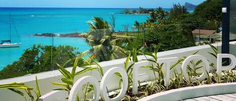 Terraza en la azotea