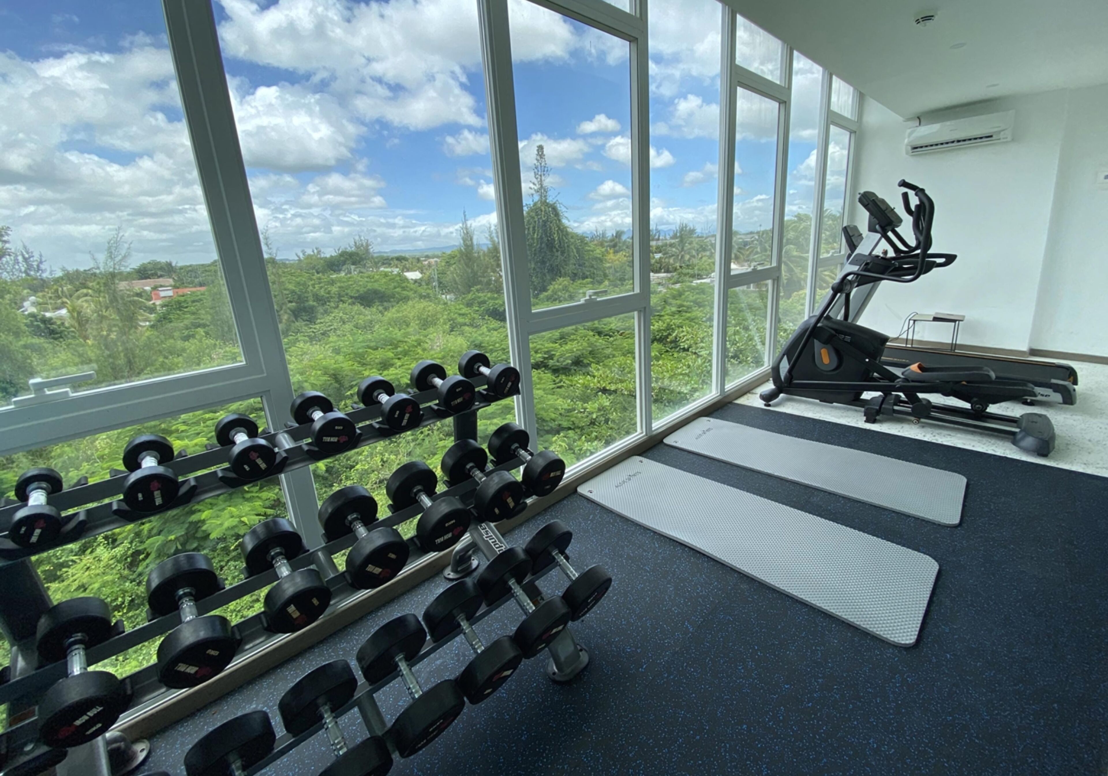 A gym with a view of greenery, a treadmill, and dumbbells.